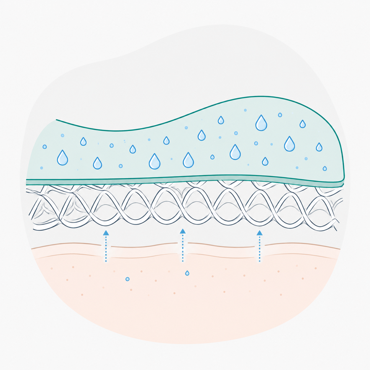 Moisture Holding / 保水 / 保水